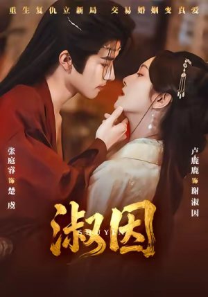 淑因（65集）免费短剧看不停