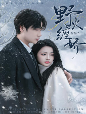 野火缠娇（66集）短剧上热门