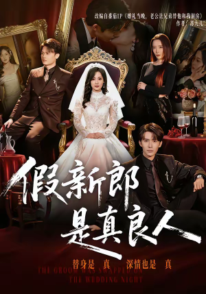 假新郎是真良人(67集) 假新郎是真良人(67集)经典老剧免费看