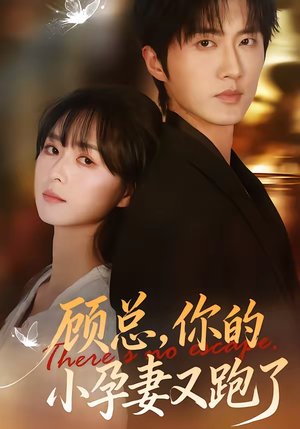 顾总,你的小孕妻又跑了(47集) 顾总,你的小孕妻又跑了(47集)爆款短剧抢先看