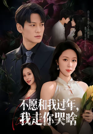 不愿和我过年，我走你哭啥（74集）免费观看完整版