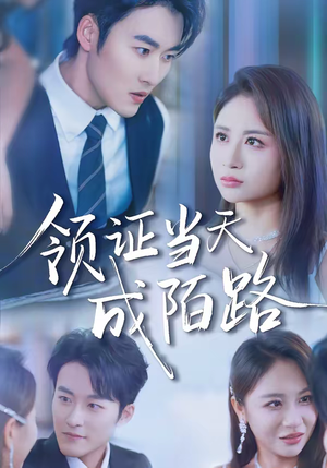 领证当天成陌路（39集）最新火爆短剧