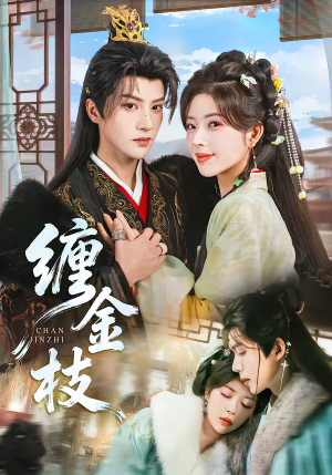 缠金枝（69集）太好看了短剧
