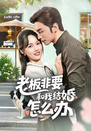 老板非要和我结婚怎么办（50集）短剧全集更精彩