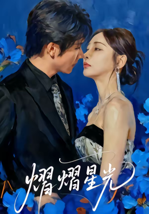 熠熠星光（67集）在线播放