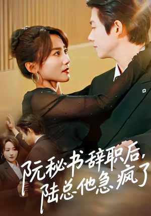 阮秘书辞职后，陆总他急疯了（80集）小短剧推荐