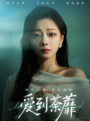 爱到荼蘼（63集）短剧解说全集