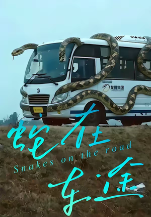 蛇在车途（34集）热门短剧在线看