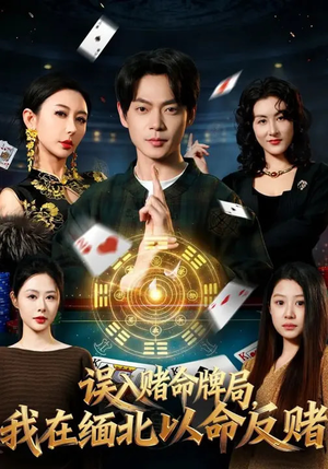 误入赌命牌局，我在缅北以命反赌（80集）短剧小说在线看