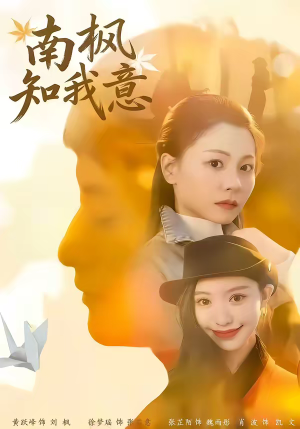 南枫知我意（41集）无需会员免费看