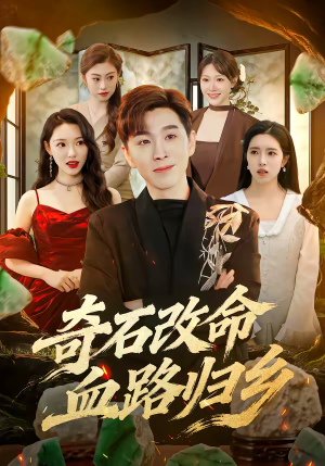 奇石改命血路归乡（81集）热门短剧推荐