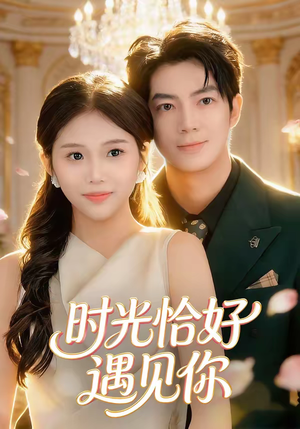 时光恰好遇见你（80集）短剧免费观看