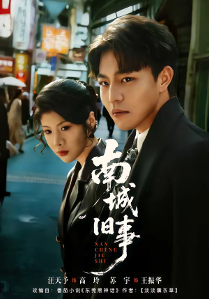 南城旧事（80集）男频短剧推荐