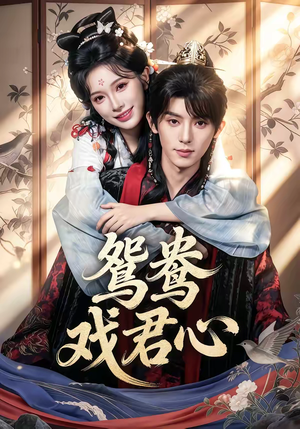 鸳鸯戏君心（60集）每天短剧分享