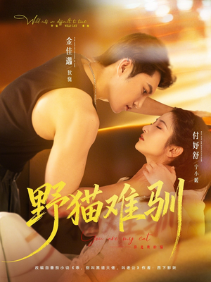 野猫难驯（73集）经典回顾免费看