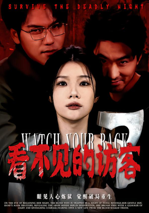 看不见的访客（62集）大结局