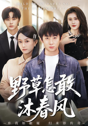 野草怎敢沐春风(61集) 野草怎敢沐春风(61集)全集免费