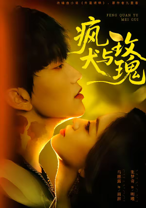 疯犬与玫瑰（80集）短剧太好看