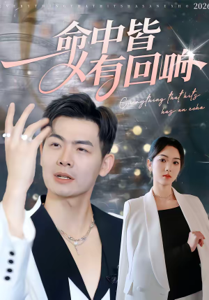 命中皆有回响（62集）短剧在哪里看