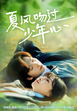 夏风吻过少年心（76集）超爽短剧推荐