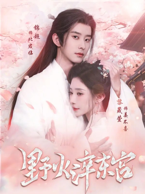 野火淬东宫（76集）番茄短剧看全集