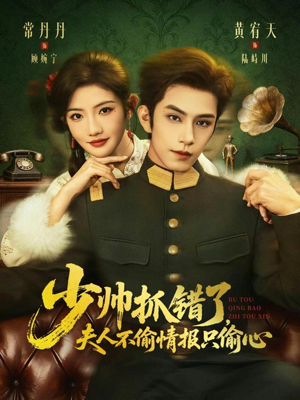 少帅抓错了，夫人不偷情报只偷心（66集）高质量短剧推荐