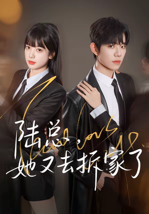 陆总，她又去拆家了（80集）精彩短剧片段