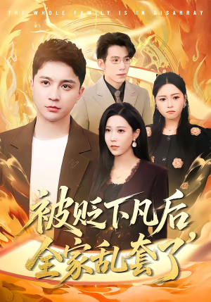 被贬下凡后全家乱套了（88集）网盘在线观看