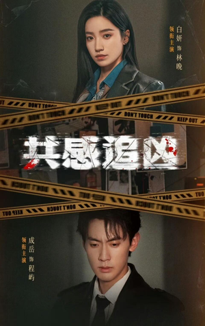 共感追凶（60集）短剧追到爽