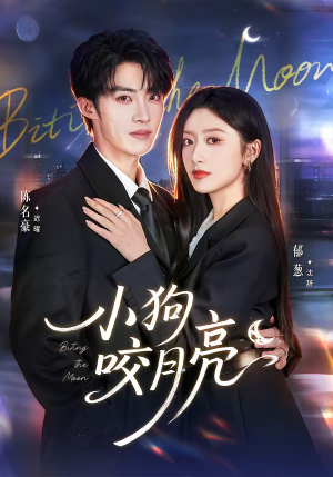 小狗咬月亮（66集）更新时间