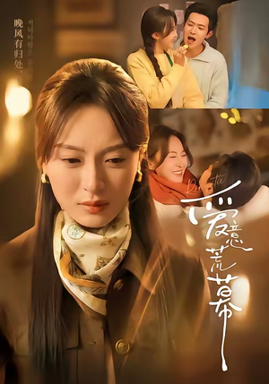 爱意荒幕（70集）精彩不断免费看