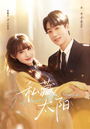 私藏太阳（91集）观看软件