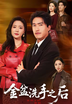 金盆洗手之后(62集) 金盆洗手之后(62集)全集免费观看