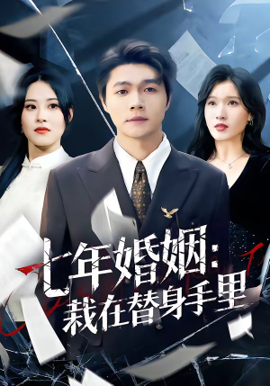 七年婚姻:栽在替身手里(80集) 七年婚姻:栽在替身手里(80集)独家资源免费看