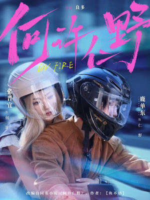 何许仁野(60集) 何许仁野(60集)免费短剧资源