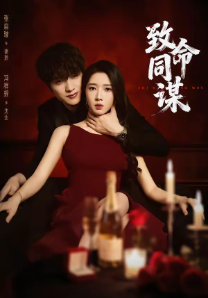 致命同谋（63集）海量资源免费看