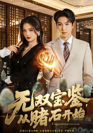 无双宝鉴，从赌石开始（70集）最火短剧推荐