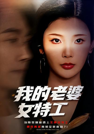 我的老婆女特工（62集）免费短剧看全集
