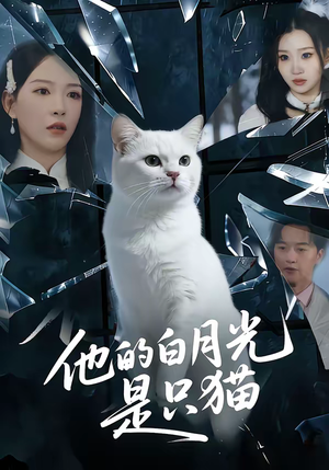 他的白月光是只猫（69集）短剧排行榜