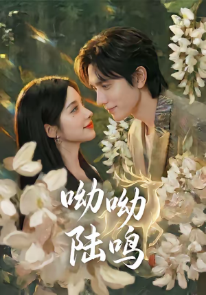 呦呦陆鸣（67集）去哪里看