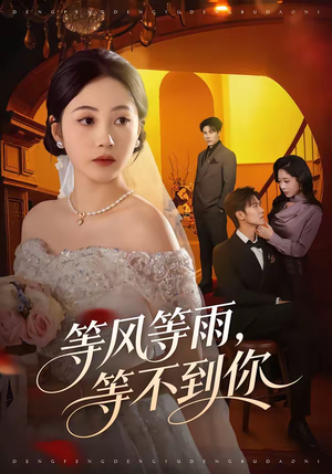 等风等雨,等不到你(65集) 等风等雨,等不到你(65集)热门短剧在线看