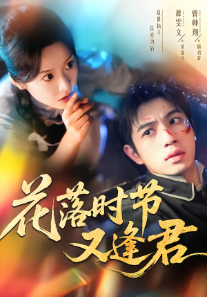 花落时节又逢君（61集）女频短剧推荐