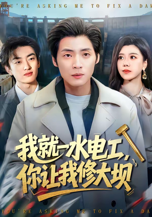 我就一水电工，你让我修大坝（65集）在哪看