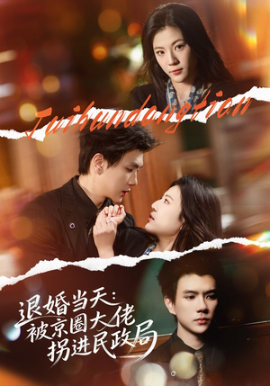 退婚当天:被京圈大佬拐进民政局(80集) 退婚当天:被京圈大佬拐进民政局(80集)热门短剧来袭