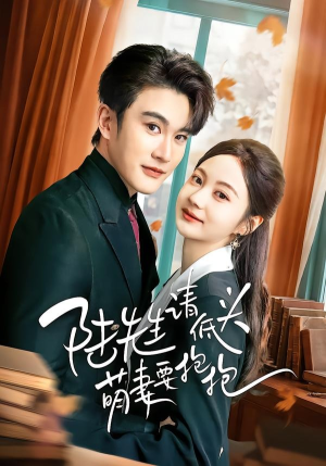 陆先生请低头萌妻要抱抱（51集）追短剧看全集