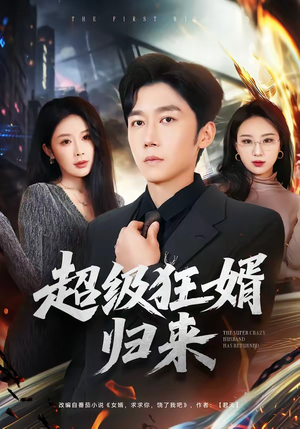 超级狂婿归来（81集）免费短剧合集