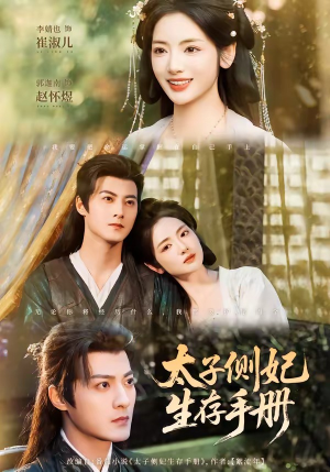 太子侧妃生存手册（63集）火爆短剧来袭