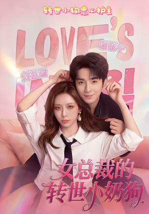 女总裁的转世小奶狗（30集）观看软件