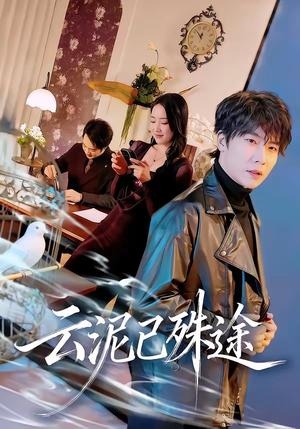 云泥已殊途（72集）全网独播免费看