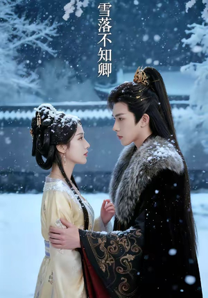 雪落不知卿（62集）热门短剧推广